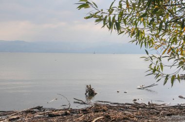 Almanya 'daki Göl Constance