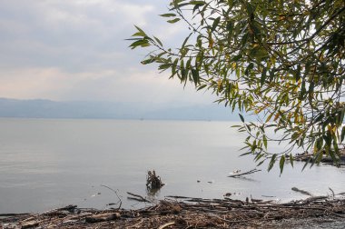 Almanya 'daki Göl Constance