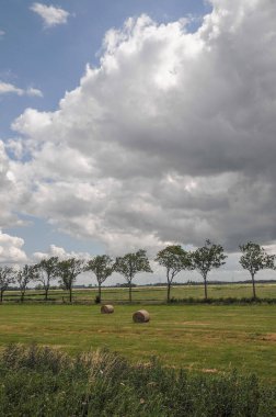 Weener ve nehir Alman Ostfriesland 'da.