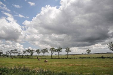 Weener ve nehir Alman Ostfriesland 'da.
