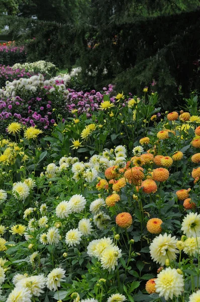 Almanya 'daki güzel göl manzarası