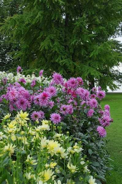 Almanya 'daki güzel göl manzarası