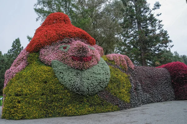 Almanya 'daki güzel göl manzarası
