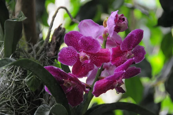 Almanya 'daki güzel göl manzarası