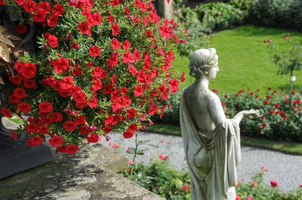 Almanya 'daki güzel göl manzarası