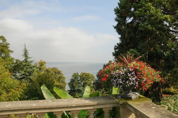 Almanya 'daki Göl Constance