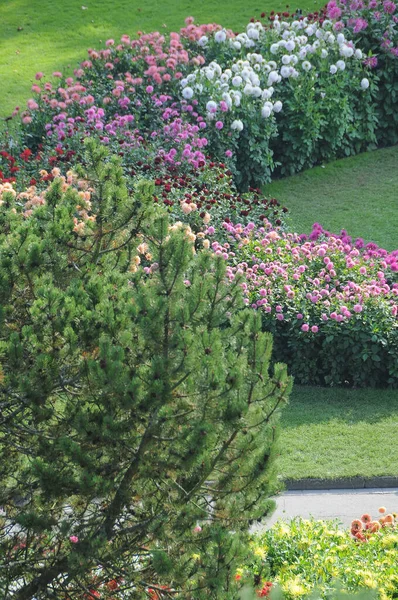 Almanya 'daki Göl Constance