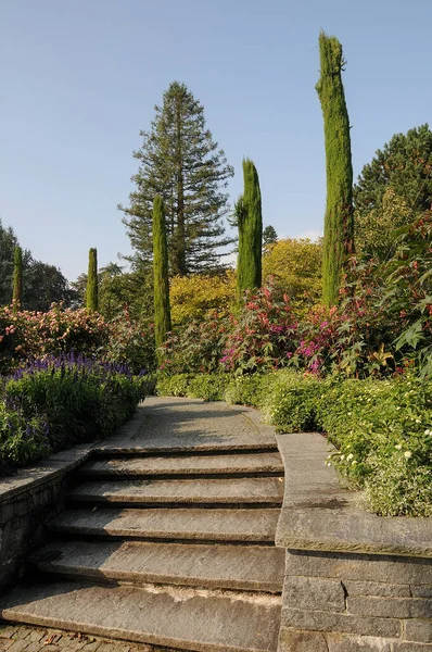 Almanya 'daki Göl Constance