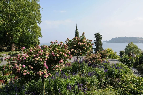 Almanya 'daki Göl Constance