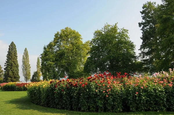 Almanya 'daki Göl Constance