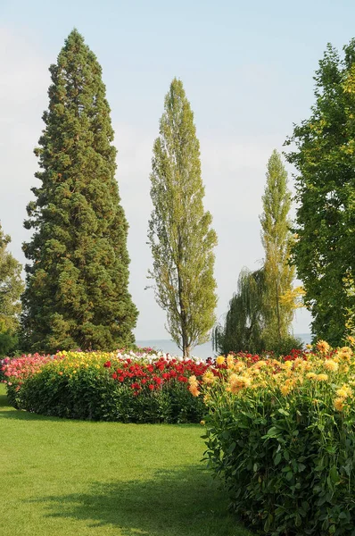 Almanya 'daki Göl Constance