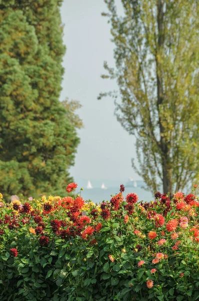 Almanya 'daki Göl Constance