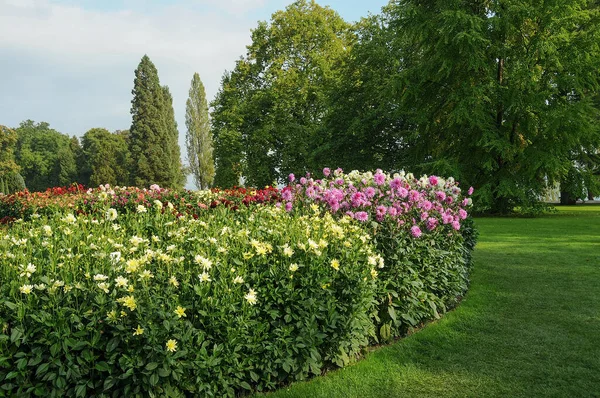 Lake Constance Germany — Stockfoto