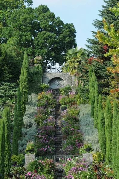 Almanya 'daki Göl Constance