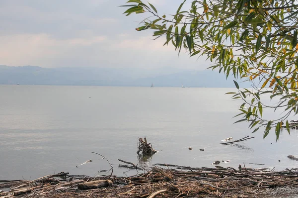 Almanya 'daki Göl Constance