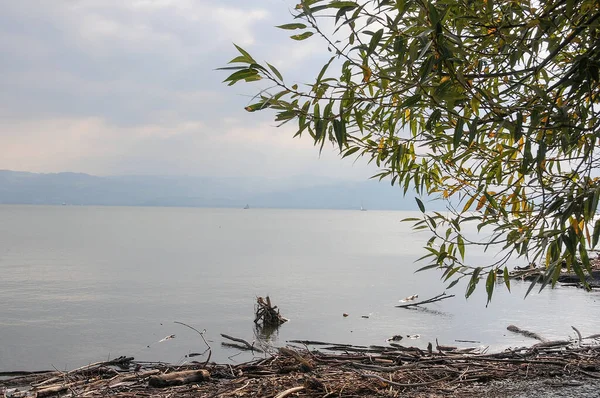 Almanya 'daki Göl Constance