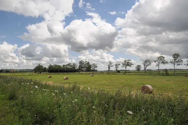 Weener ve nehir Alman Ostfriesland 'da.