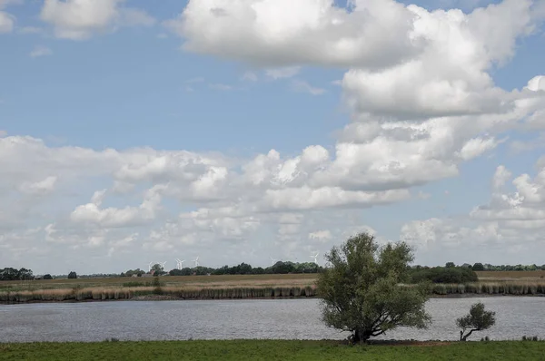 Weener ve nehir Alman Ostfriesland 'da.