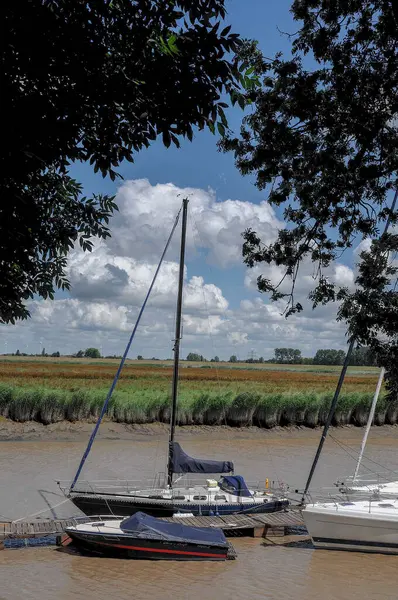 Weener ve nehir Alman Ostfriesland 'da.