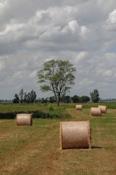 Weener Río Ems Ostfriesland Alemana — Foto de Stock