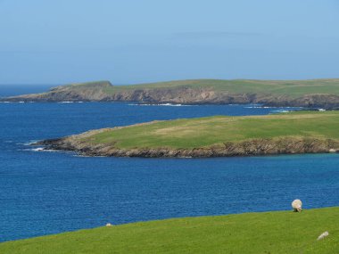 İskoçya 'da Lerwick şehrinin bulunduğu shetland adaları