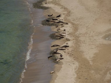 İskoçya 'da Lerwick şehrinin bulunduğu shetland adaları