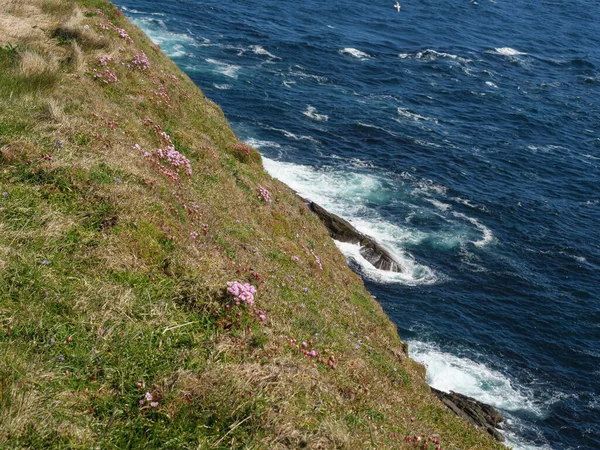 Wyspy Shetland Miastem Lerwick Szkocji — Zdjęcie stockowe