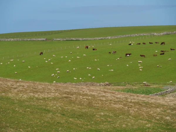 Isole Shetland Con Città Lerwick Scozia — Foto Stock