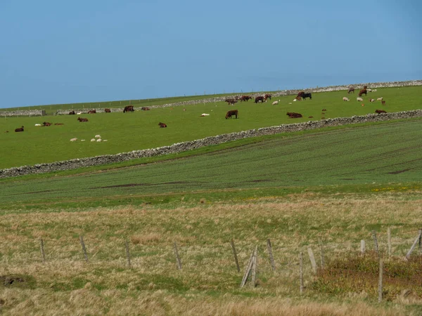 Isole Shetland Con Città Lerwick Scozia — Foto Stock