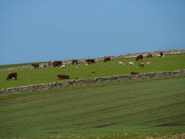 Isole Shetland Con Città Lerwick Scozia — Foto Stock