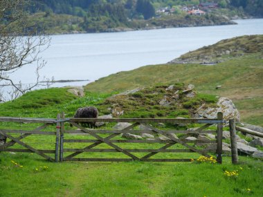Norveç 'in Haugesund şehri.