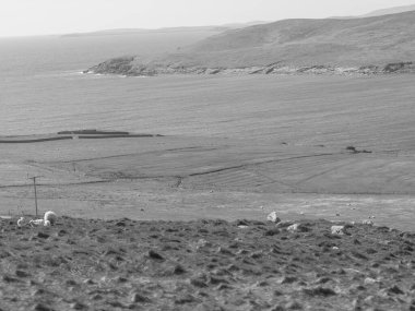 İskoçya 'da Lerwick şehrinin bulunduğu shetland adaları