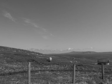 İskoçya 'da Lerwick şehrinin bulunduğu shetland adaları