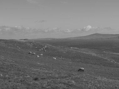 İskoçya 'da Lerwick şehrinin bulunduğu shetland adaları