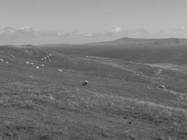 İskoçya 'da Lerwick şehrinin bulunduğu shetland adaları
