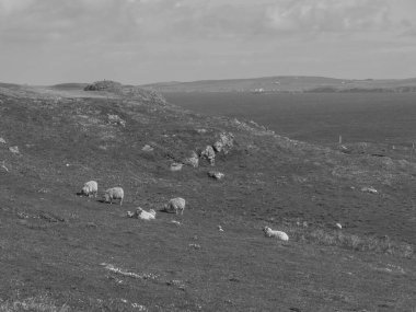 İskoçya 'da Lerwick şehrinin bulunduğu shetland adaları