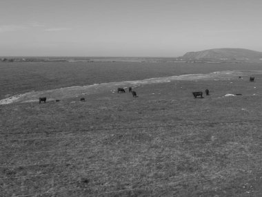 İskoçya 'da Lerwick şehrinin bulunduğu shetland adaları 