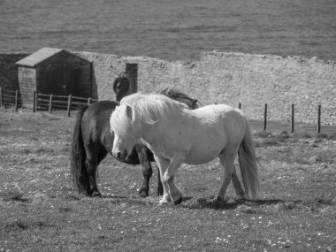 İskoçya 'da Lerwick şehrinin bulunduğu shetland adaları 