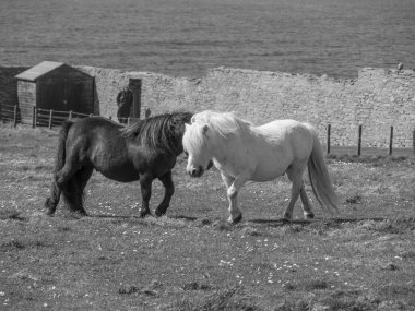İskoçya 'da Lerwick şehrinin bulunduğu shetland adaları 