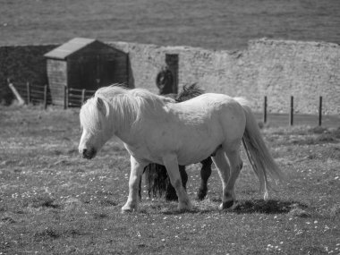 İskoçya 'da Lerwick şehrinin bulunduğu shetland adaları 
