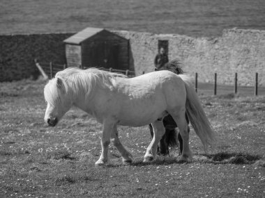 İskoçya 'da Lerwick şehrinin bulunduğu shetland adaları 