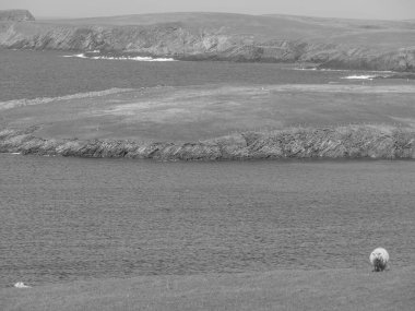 İskoçya 'da Lerwick şehrinin bulunduğu shetland adaları 