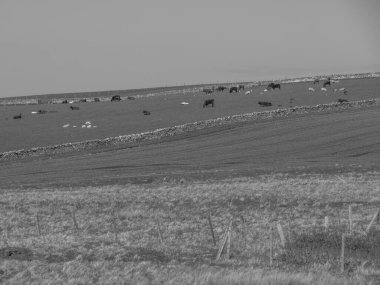İskoçya 'da Lerwick şehrinin bulunduğu shetland adaları 