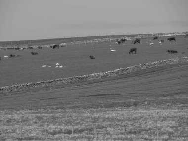 İskoçya 'da Lerwick şehrinin bulunduğu shetland adaları 
