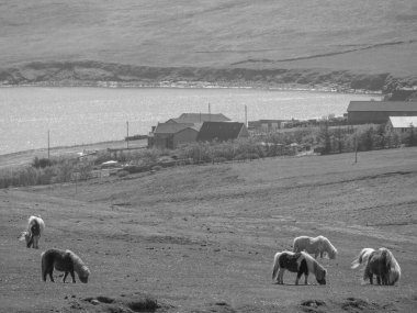 İskoçya 'da Lerwick şehrinin bulunduğu shetland adaları 