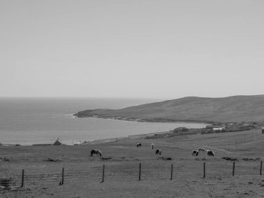 İskoçya 'da Lerwick şehrinin bulunduğu shetland adaları 