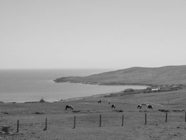İskoçya 'da Lerwick şehrinin bulunduğu shetland adaları 