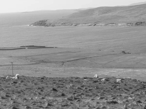 İskoçya 'da Lerwick şehrinin bulunduğu shetland adaları