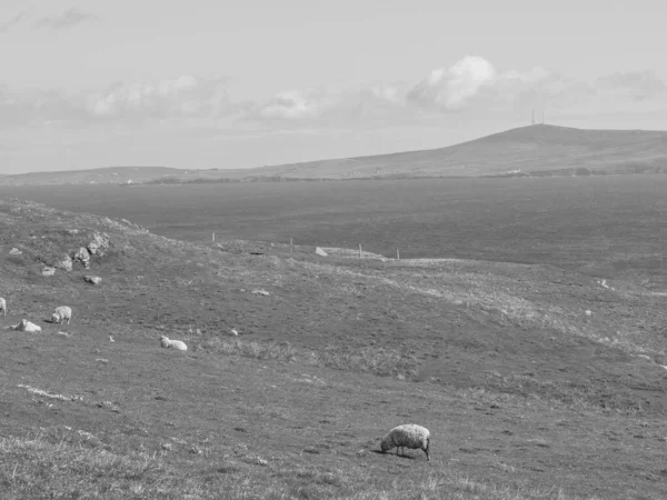İskoçya 'da Lerwick şehrinin bulunduğu shetland adaları