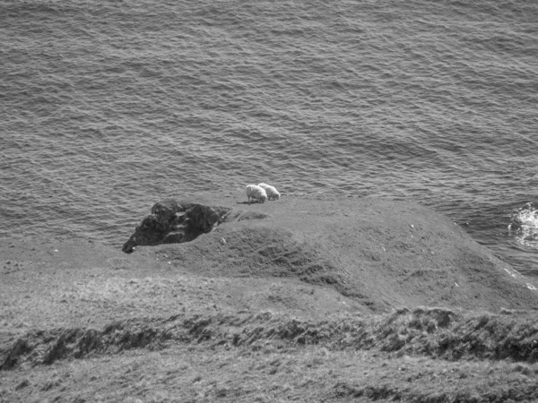İskoçya 'da Lerwick şehrinin bulunduğu shetland adaları